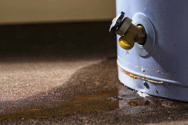 Best Water damage restoration near me  in Downey, CA