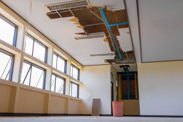 Best Local water damage restoration  in Downey, CA
