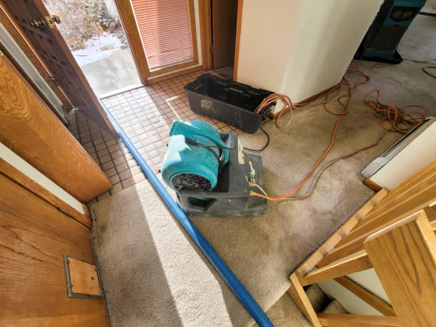 Best Emergency water extraction  in Downey, CA