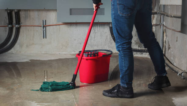 Best Professional water damage repair  in Downey, CA
