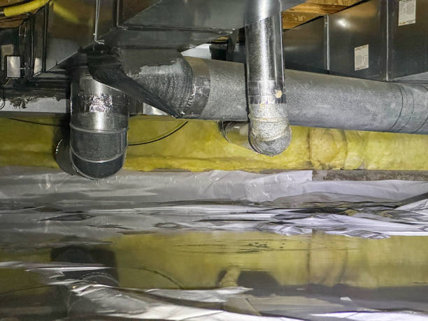 Best Flooded house restoration  in Downey, CA
