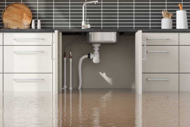 Best Residential water damage restoration  in Downey, CA