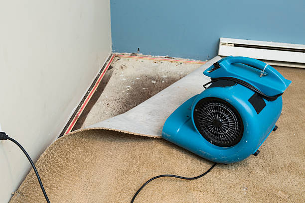 Best Emergency water damage restoration  in Downey, CA